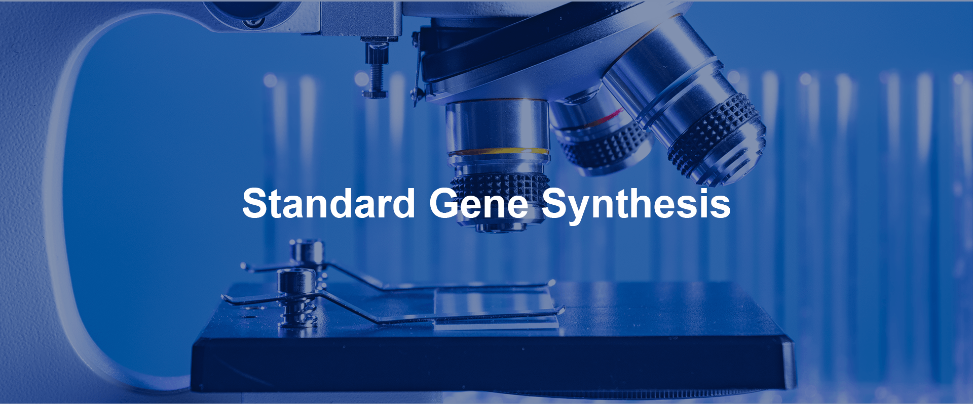 tsingke-standard-gene-synthesis