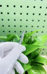 Ultra-precision cnc machining service R0.05mm diamond mirror polishing mold movable