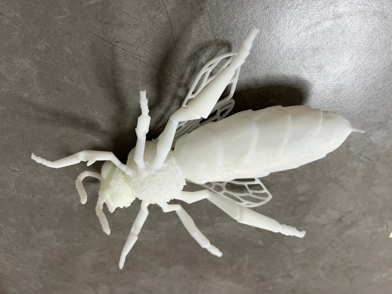 Custom ABS Nylon FDM SLA SLS Cheap 3D Printing Service