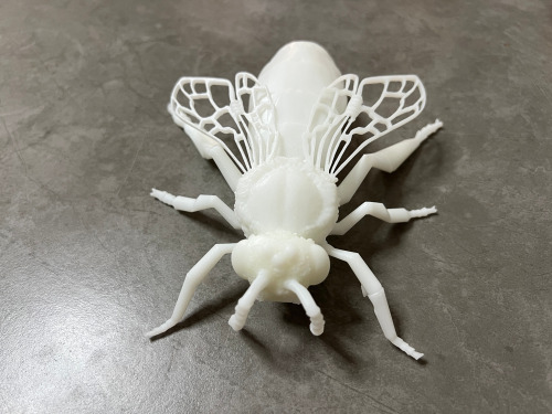 Custom ABS Nylon FDM SLA SLS Cheap 3D Printing Service