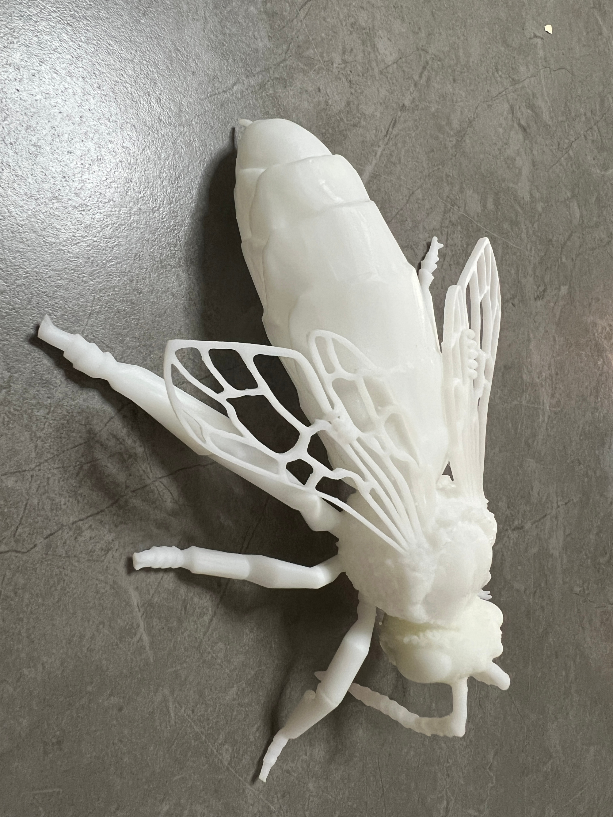 Custom ABS Nylon FDM SLA SLS Cheap 3D Printing Service