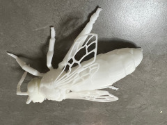 Custom ABS Nylon FDM SLA SLS Cheap 3D Printing Service