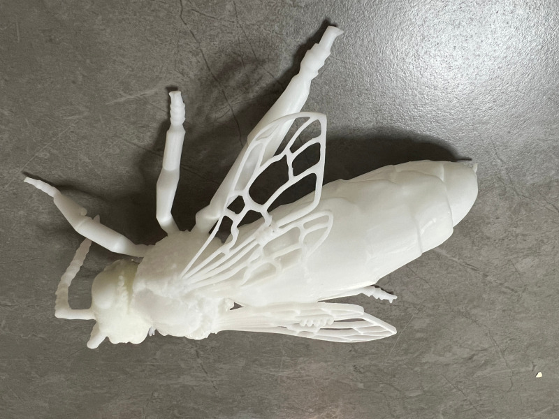 Custom ABS Nylon FDM SLA SLS Cheap 3D Printing Service