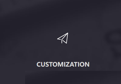CUSTOMIZATION