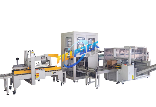 Case Packing Machine, Case Packer Machine