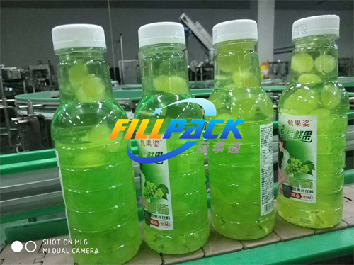 Pulp juice bottling plant
