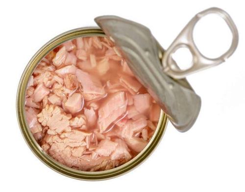 Turn-Key Solution for Tuna Canning Plant