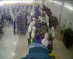 Tuna canning machine, Automatic canning line for fish