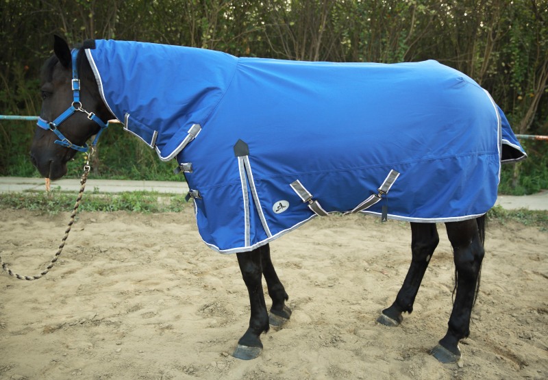 600D COMBO WINTER TURNOUT RUG, 220G POLYFILLING (Navy)