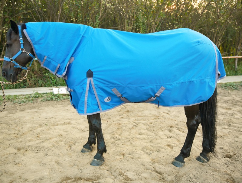600D COMBO WINTER TURNOUT RUG, 280G POLYFILLING (Turquoise)