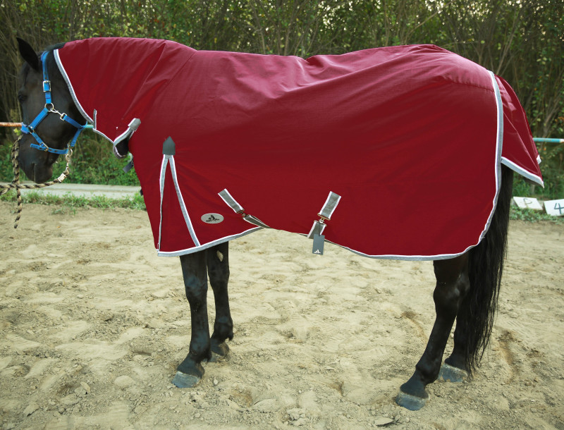 600D COMBO WINTER TURNOUT RUG, 280G POLYFILLING (Burgundy)