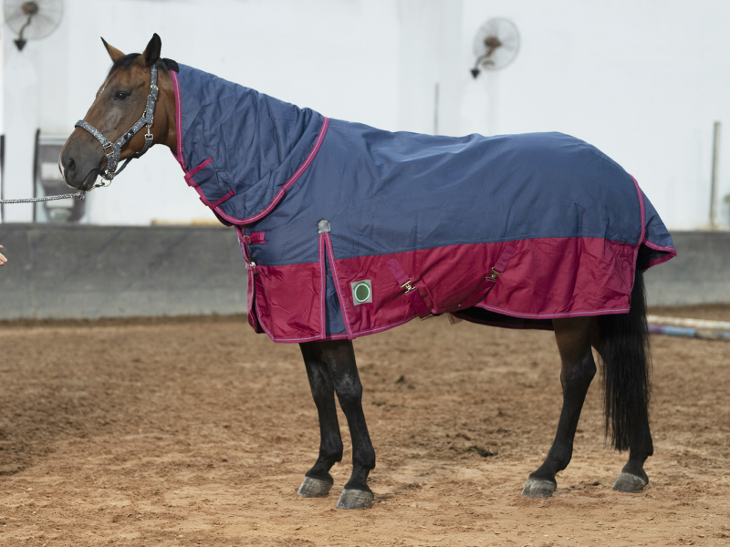 HORSEMATE 1200D TURNOUT COMBO WINTER RUG 280G POLYFILLING TWO-TONE COLORS
