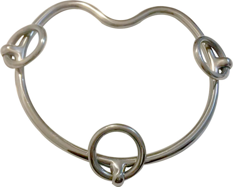 chifney bit and headpiece