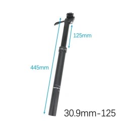 30.9x125mm