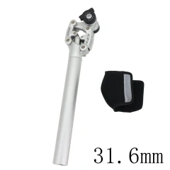 31.6 SLV and cover