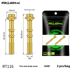 Hollow Five-Line Body Screw - Gold