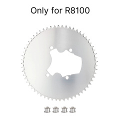 silver R8100