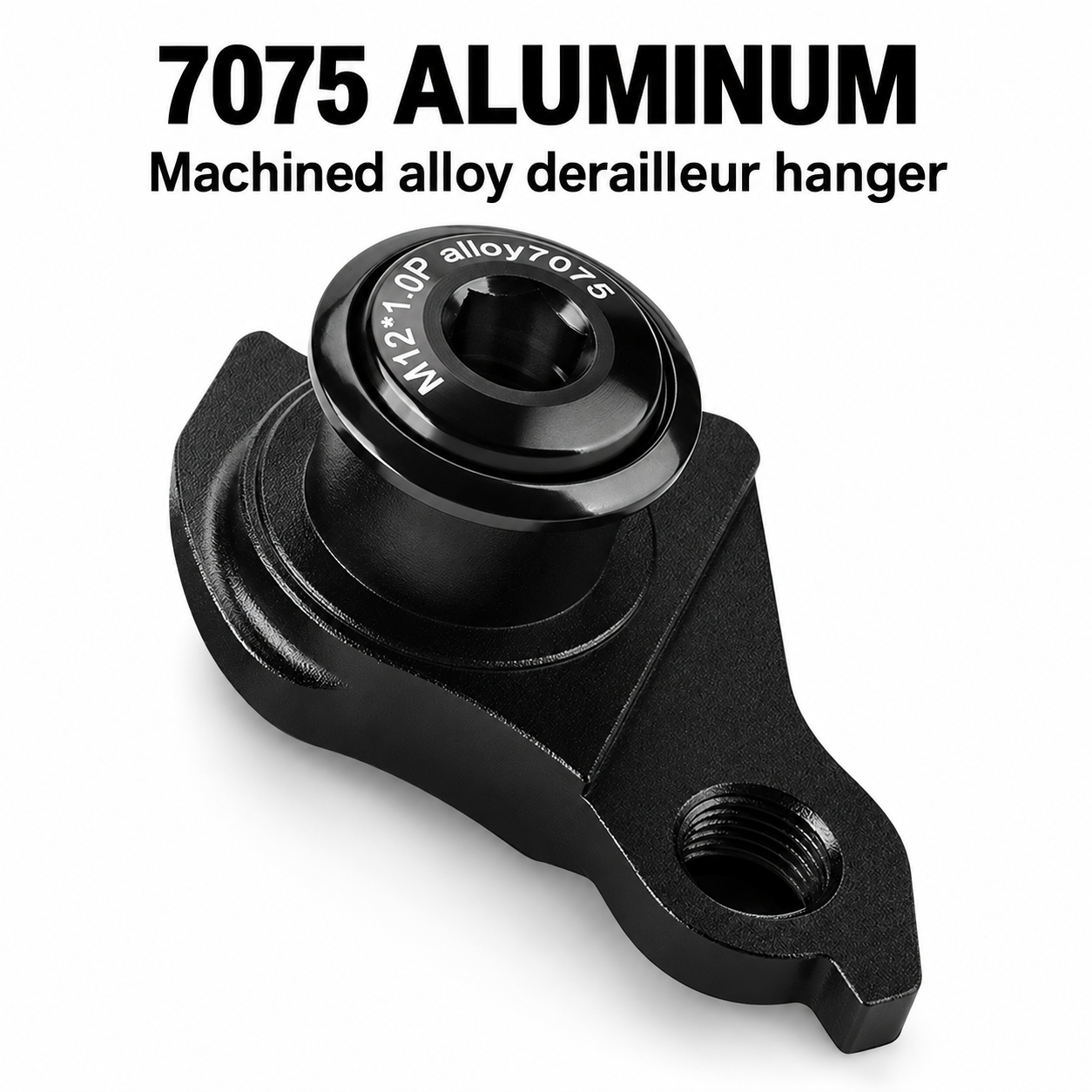 UDH-Style 7075 Aluminum Derailleur Hanger, M12 1.0 / 1.5mm Pitch or Hanger with Thru Axle - detail 11