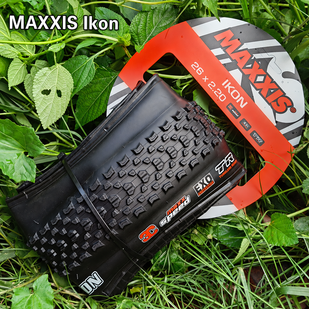 MAXXIS Ikon Folding Cross-Country MTB Tires, Standard, EXO and Tubeless Ready TR Versions with Size Options