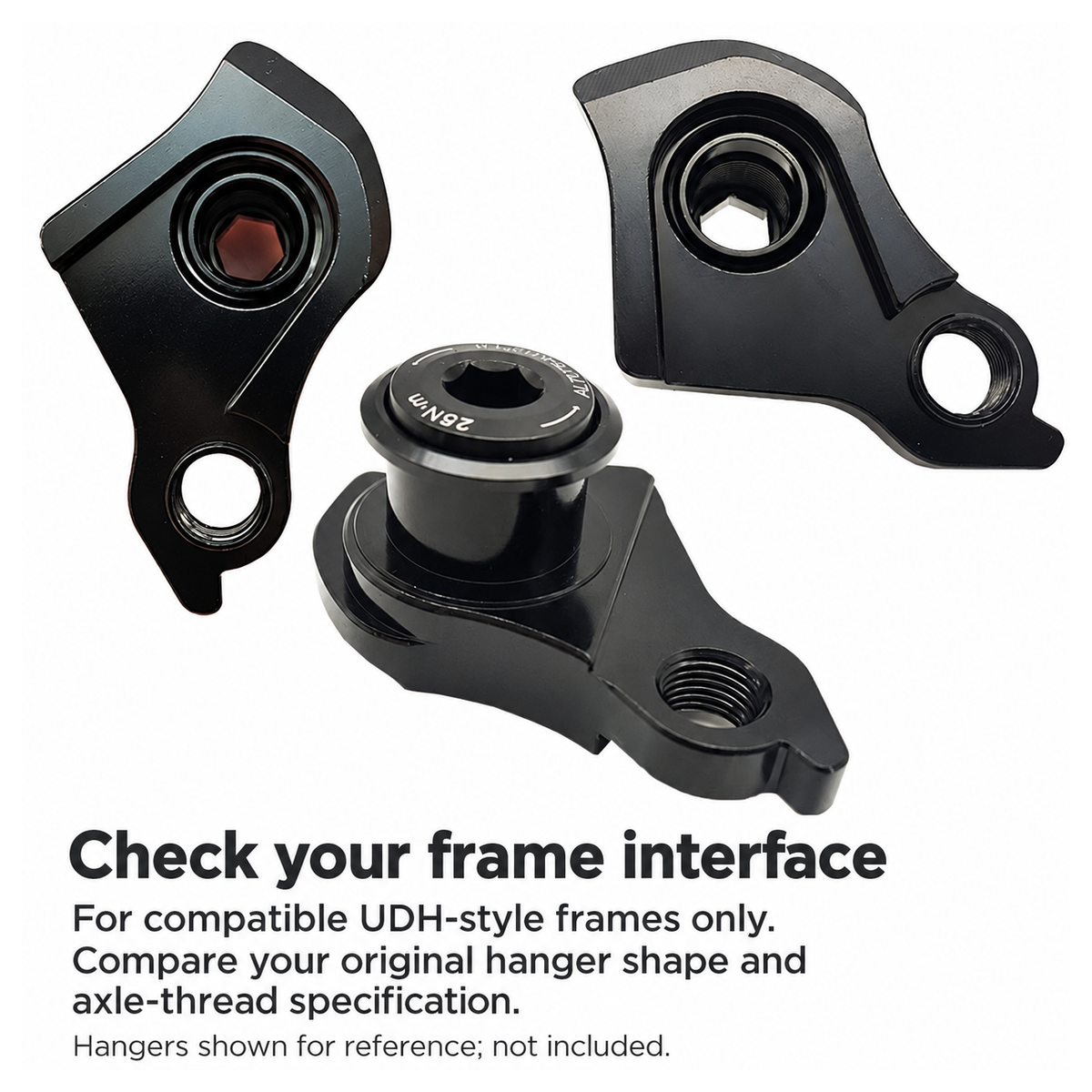 UDH-Style Derailleur Hanger Replacement Bolt and Washer Set, M12 x 1.0 ...