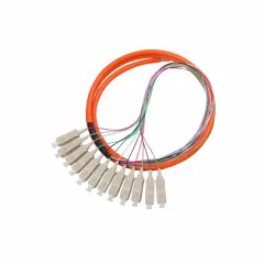 Fiber patch cord Pigtail 12 Core SC/UPC MM OM1 Multimode