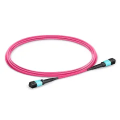 MTP Female To Female 12 Fibers OM4 (OM3) 50 125 Multimode Trunk Cable Type A Elite Plenum (OFNP) Magenta MPO Patch Cord Cable