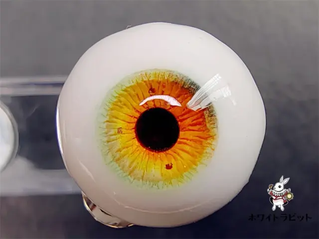 レジンアイTN004　　直径10㎜～18㎜