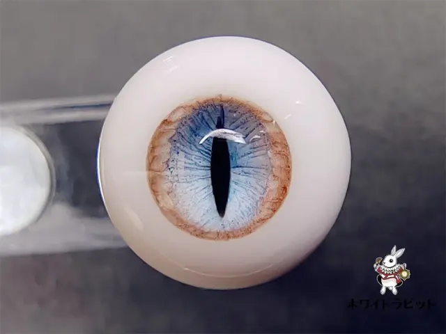 レジンアイAM006　　直径12㎜～18㎜