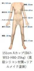 151cm Aカップ(B67-W53-H80-25kg)（高級シリコン材質+リアルメイク塗装）＋￥100,000