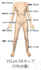 151cm AAカップ(TPE材質)