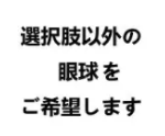 選択肢以外の眼球を希望（商品説明の画像を参考）