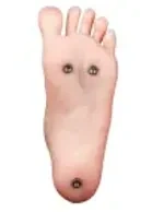 自立加工付き＋￥5,000