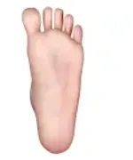 自立無し