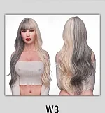 W3