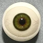 #4-浅緑