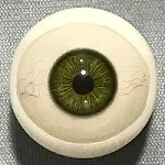 #5-濃緑