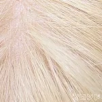 金髪-植毛（髪型はご指定可能、シリコンヘッドのみ）＋￥30,000