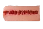 標準的なお姉さま系（通常）