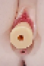 着脱式