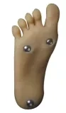 自立加工あり＋￥5,000