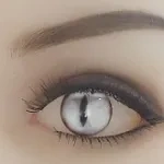 シルバー