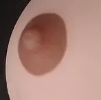 ダークブラウン