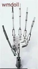 最新技術の骨格指3.0＋￥8,000