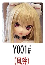 Y001