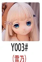 Y003