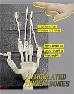 最新技術の骨格関節＋￥8,000