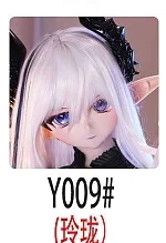 Y009