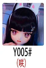 Y005
