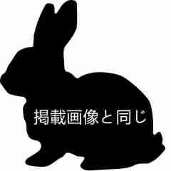 掲載画像と同じ手作り眼球＋￥6,000