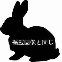 掲載画像と同じ手作り眼球＋￥6,000
